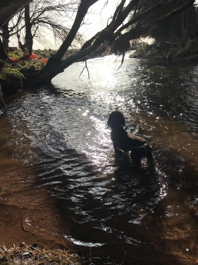 Isla Young MSYP 🏳️🌈🌻 tweet media