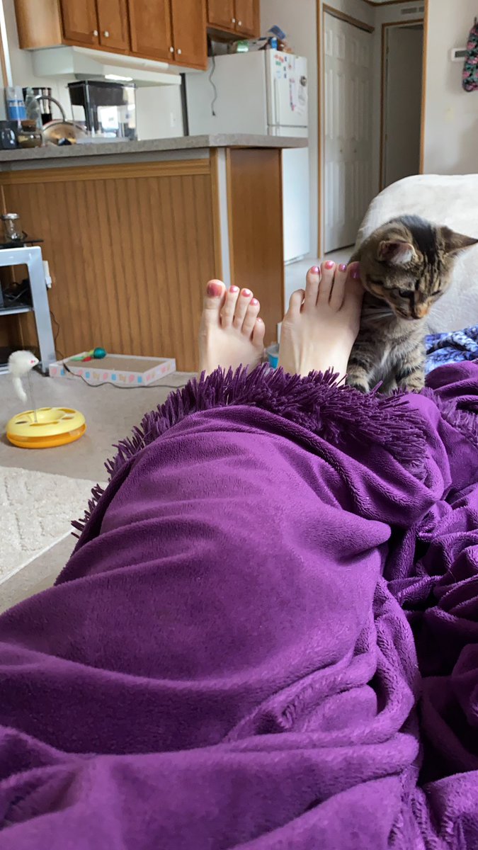 thaliatoes1's tweet photo. Lounging with kitty she was nibbling my toes lol https://t.co/snrKD7tstq