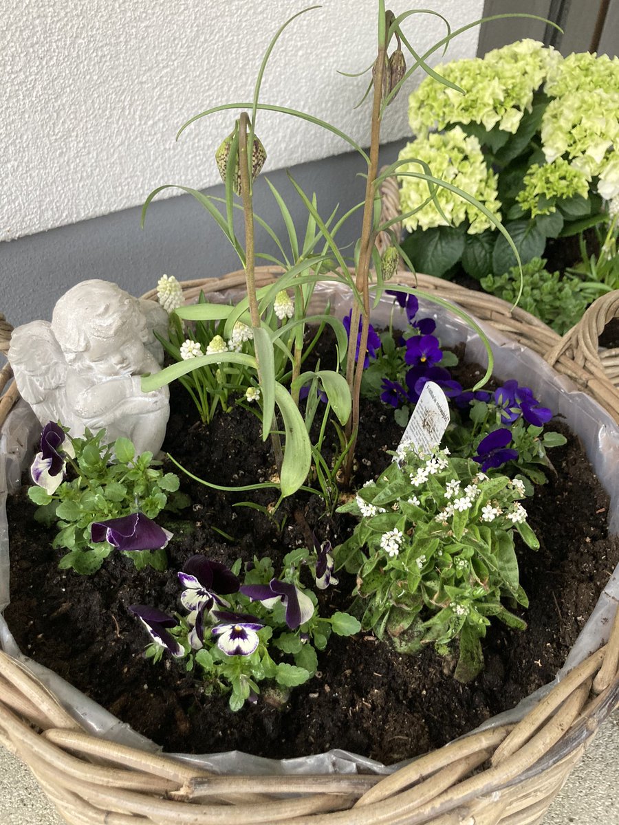 _OstseeKind's tweet photo. Hallo #Frühling. https://t.co/G9vPiZ0Xo3