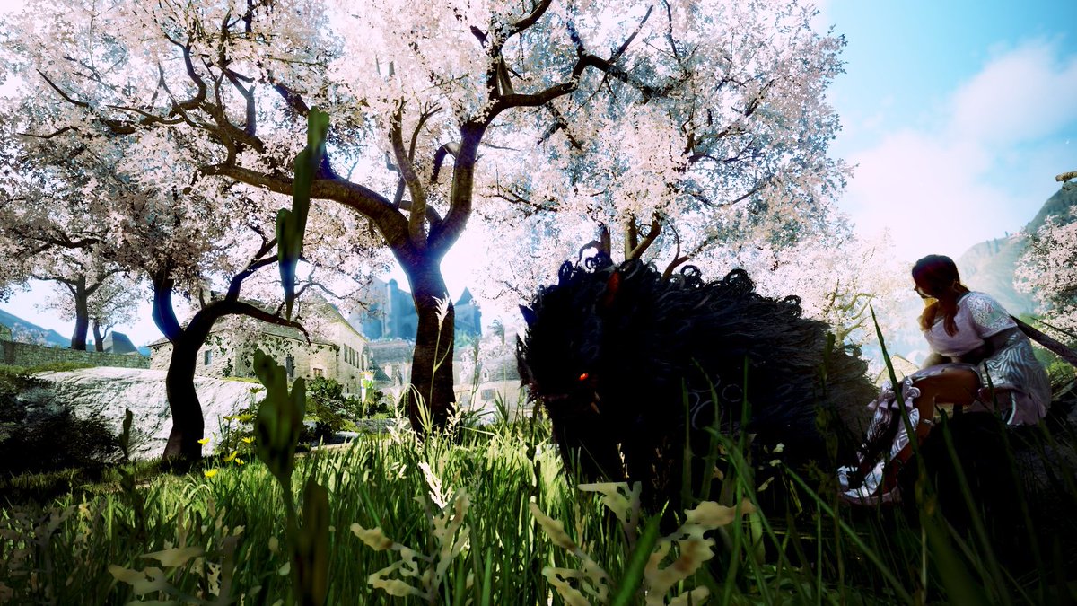 nyrosch's tweet photo. 🌸Cherry Blossoms and Friendship🌸 
After I level her to 56, I needed some relaxing time.
So I took some screenies ^^ 
EU/Seaforest
#BDORemastered #BlackDesert #BlackDesertOnline #BDO  #BDOSS  #BDOMemories #BDOScreenshot #Tamer #cherryblossom @NewsBlackDesert https://t.co/KrjmcDSlSK
