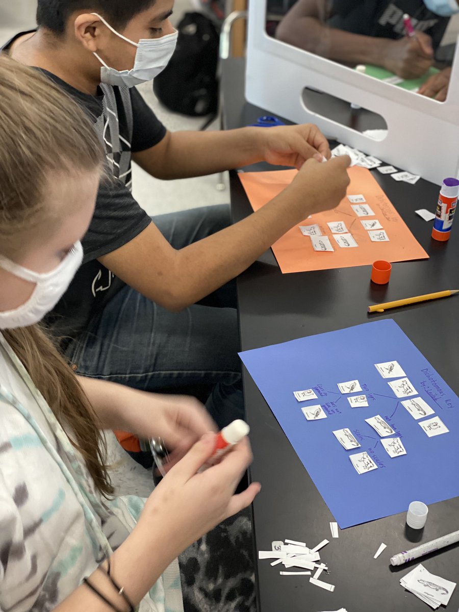 LMMSRocks's tweet photo. 6th graders learned how to identify organisms based on traits using a dichotomous key. #lmmsrocks https://t.co/HuuLYjncmn