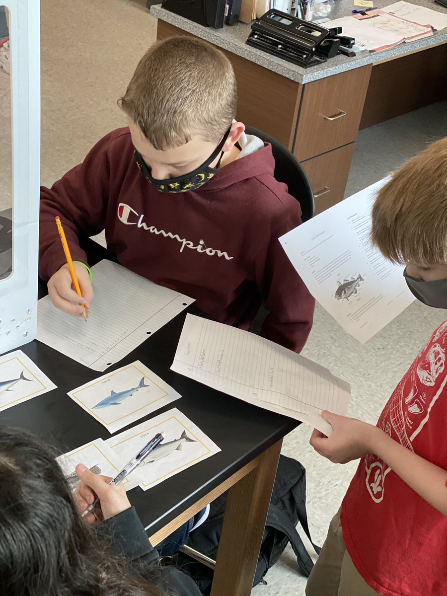 LMMSRocks's tweet photo. 6th graders learned how to identify organisms based on traits using a dichotomous key. #lmmsrocks https://t.co/HuuLYjncmn
