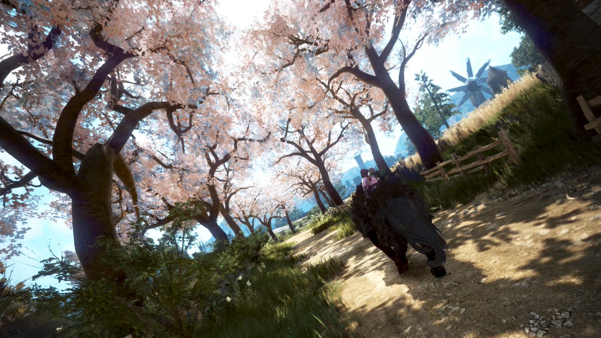 nyrosch's tweet photo. 🌸Cherry Blossoms and Friendship🌸 
After I level her to 56, I needed some relaxing time.
So I took some screenies ^^ 
EU/Seaforest
#BDORemastered #BlackDesert #BlackDesertOnline #BDO  #BDOSS  #BDOMemories #BDOScreenshot #Tamer #cherryblossom @NewsBlackDesert https://t.co/KrjmcDSlSK