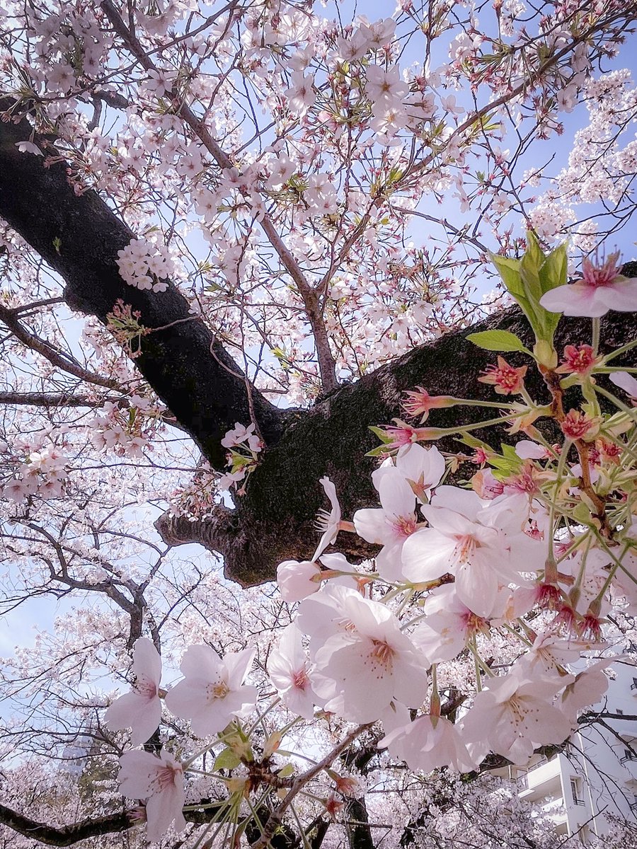 なるほどちょっとわかった。おもろい。 