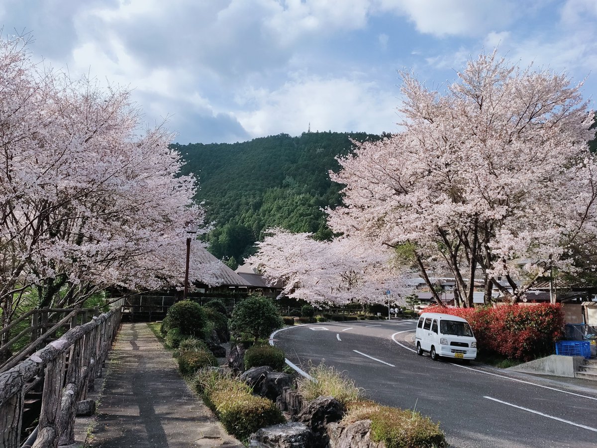 ryu_ncworks's tweet photo. 帰ってきてなんやかんやして今の時間。
走行トータル350kmぐらい。温泉やら道の駅にも寄ったりしてたら、やっぱ距離の割りに時間かかってまう。とはいえ、おかげで散る前の桜たっぷり満喫でけたのでおっけー。 https://t.co/lkwZLLj9yK