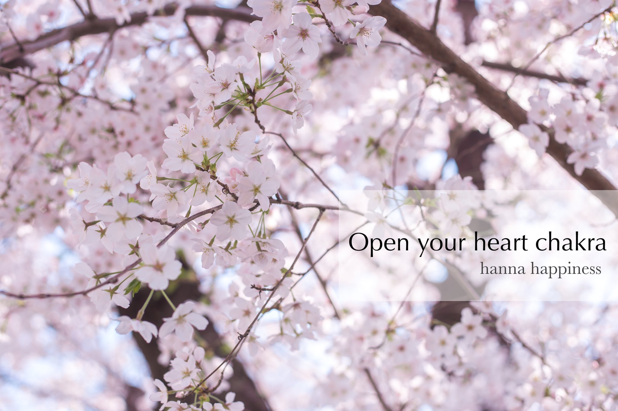 潜在能力の開花 Twitter Search Twitter