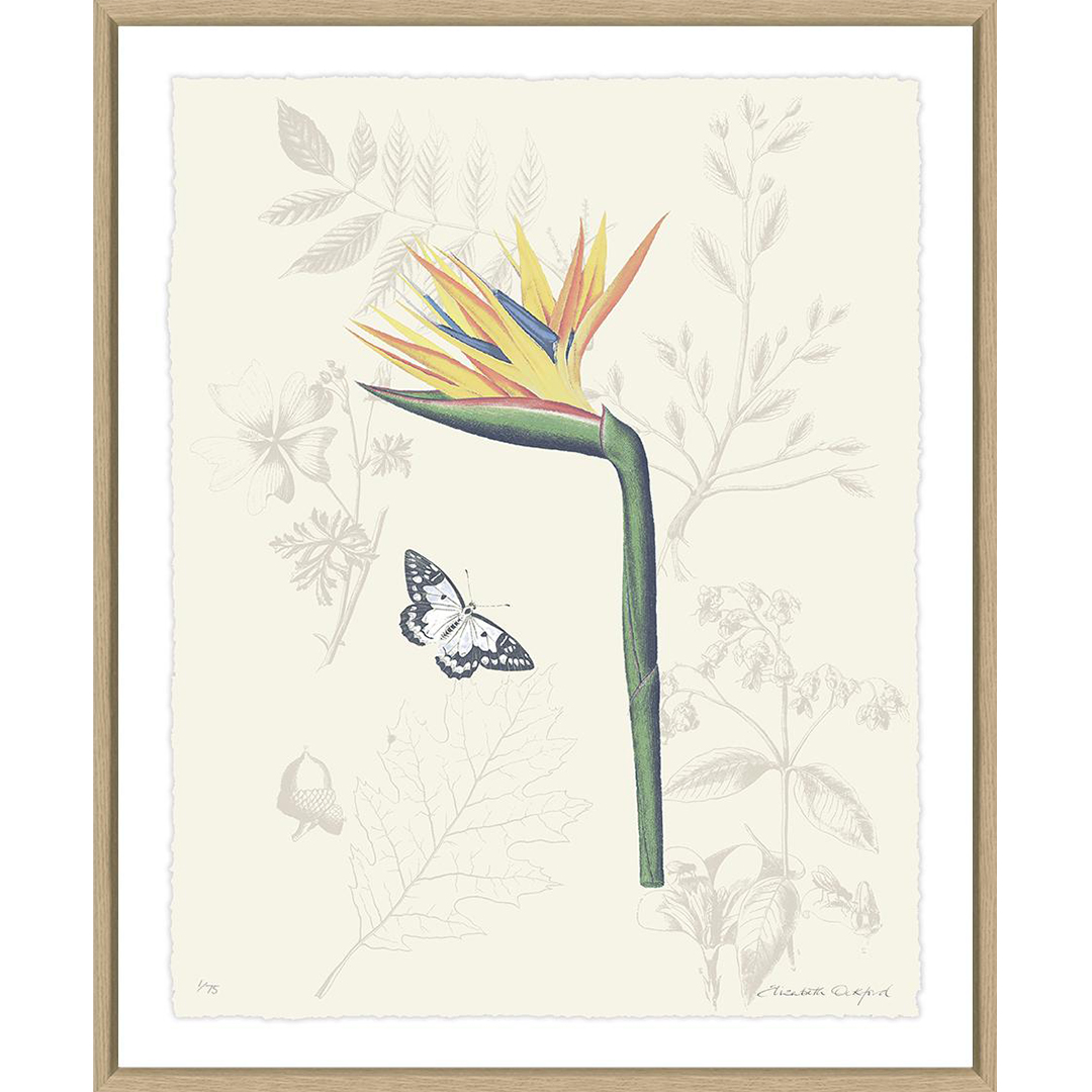 ‘The Garden’ is a new collection of work by Elizabeth Ockford named after inspirational women.

Click here for more Elizabeth Ockford artwork: trowbridgegallery.com/Artist/Elizabe…

#Mytrowbridgeart #Designideas #Interiordesignideas #interiordesigner #interiordesign #design #interior #flower