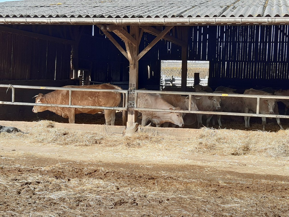 mikag53's tweet photo. Échange ce matin avec les élus communautaires @lescoevrons sur les enjeux #transmission #eau #haies #elevage 
Près de 450 agriculteurs en retraite en 2030 sur le secteur ! 
@NellyLoupy @jadescoevrons @earlduplessis @Jehanne53 @arjencoppoolse https://t.co/F9scQu8IGp