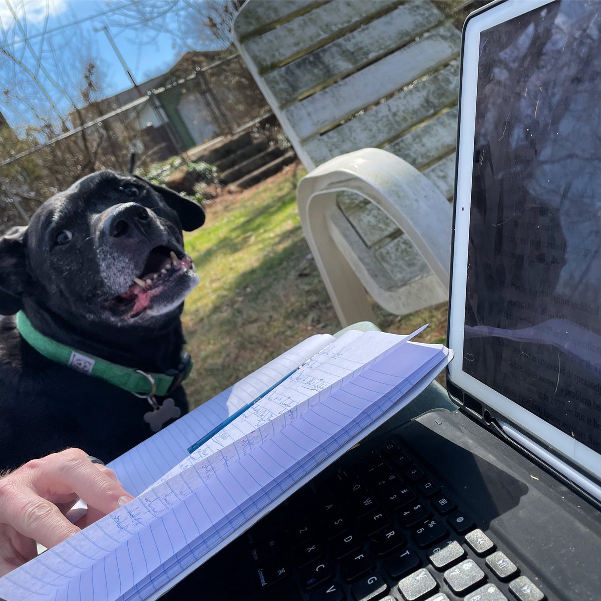 dqpryor's tweet photo. Study buddy. @lehighu @LehighBusiness #MBDave #TooNiceOutToRideAnyway #CurtisLoew https://t.co/5lxiBtnTqM