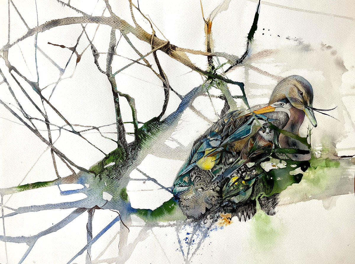 ‘Clutch’

Watercolour, ink and pencil on St Cuthberts Mill Bockingford paper 

#collaborativeart #nature #spring #ukwildlife @StCuthbertsMill #stcuthbertsmill #stcmill #bockingford #thekirins