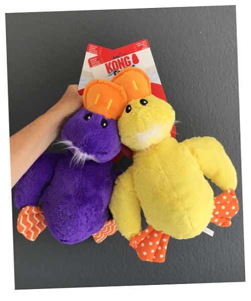 BeDoodle's tweet photo. Ze zijn er weer: Kong comfort jumbo duck. Een extra grote pluche Doodle knuffel.
https://t.co/6S7CU5XIzm https://t.co/lwRmpaf7XL