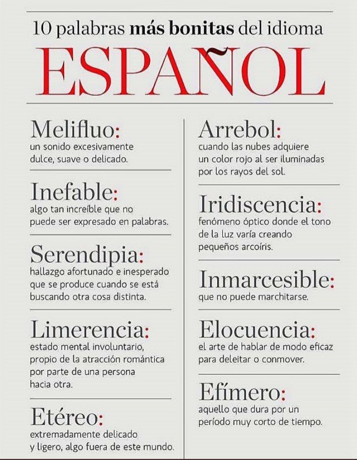 BerthaCastroR's tweet photo. Dicen que no hay espejo que mejor refleje la imagen de una persona que sus palabras..#FelizSábado 😉 https://t.co/mBl4MoQi5L