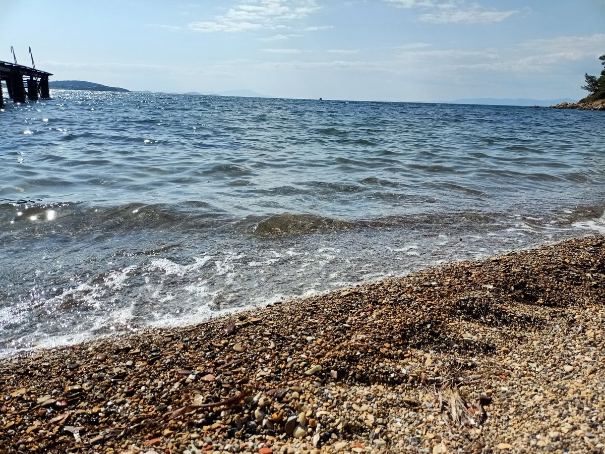 Pelitköy mavisi..