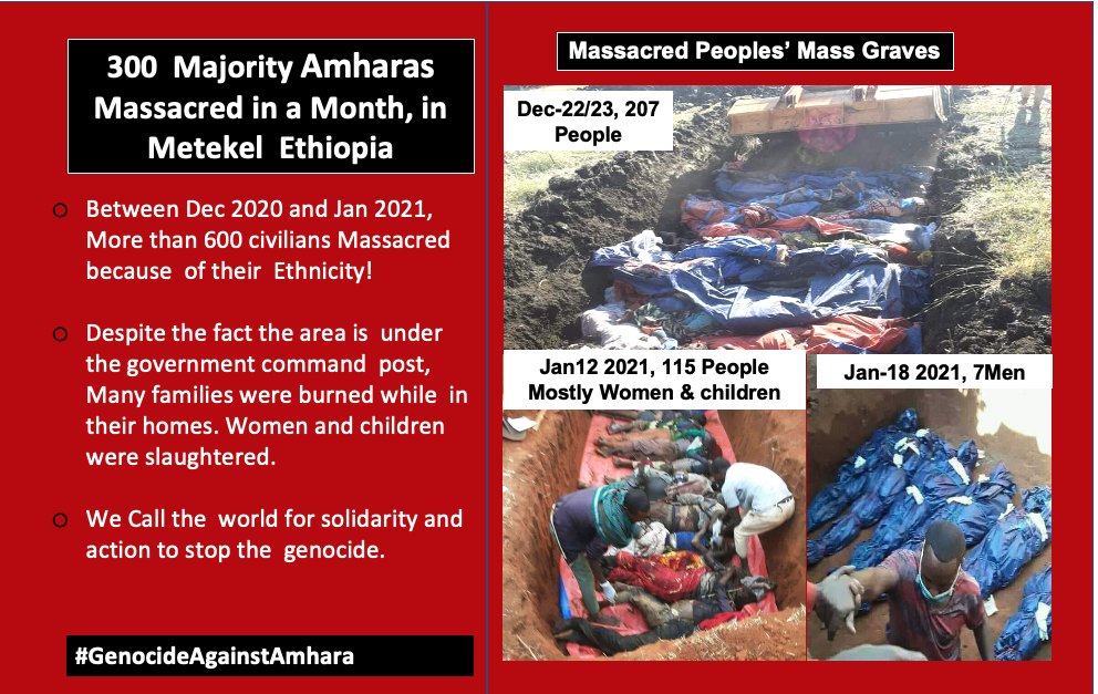 AmharaHRGW's tweet photo. 📢1/18 SUMMARY of #AmharaGenocide Between 1991-2021. 6Million of them Unmourned!😭
We are asking the WORLD to stand by the victims as we said NEVER AGAIN! we are failing them because of our ignorance. @UN @HRWGeneva @mbachelet @antonioguterres @EU_Commission @LaetitiaBader @hrw https://t.co/gkfF1ZHSXU