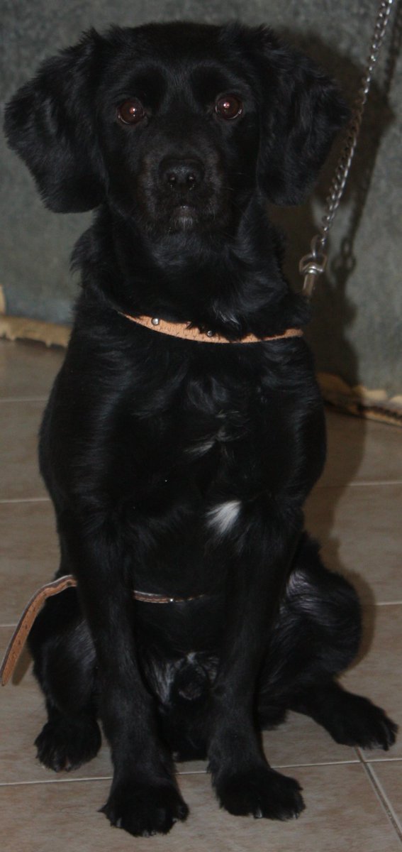 Juan Miguel (dcjuanmi)🇪🇸 tweet media