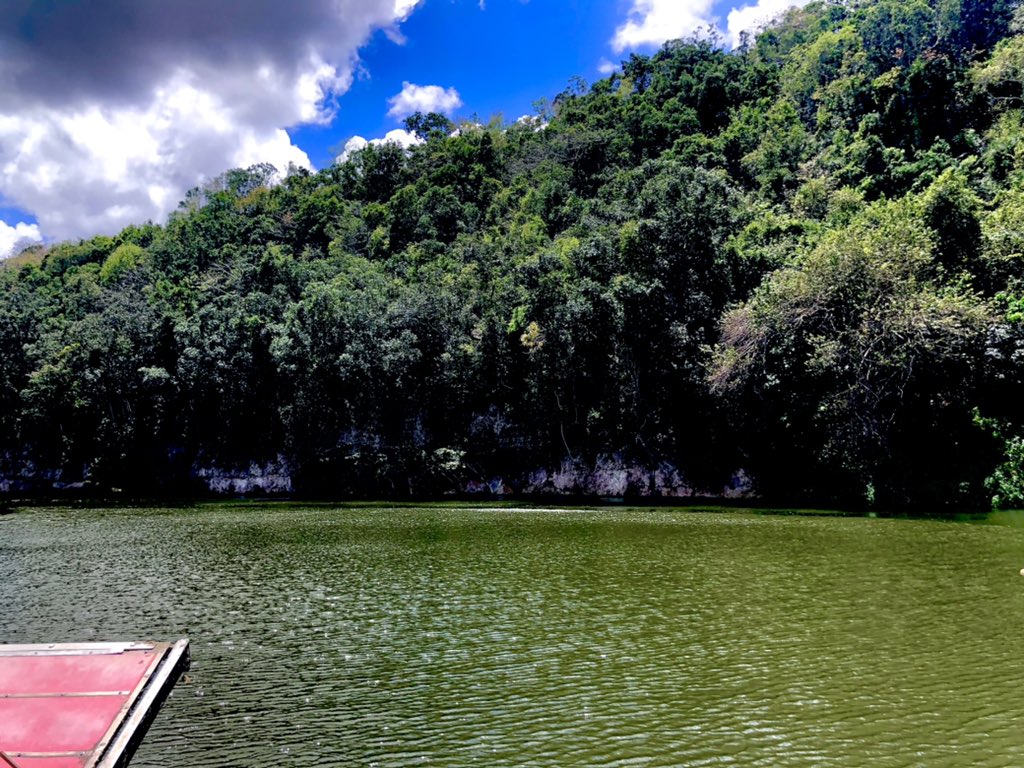 pAltagraciano's tweet photo. Me encanta 😻 Mi País #RD el #Cafe, estuve recorriendo por el #RioSoco y quede encantado 🤩 

#turismointerno 
#DiosEsBueno 
#RepublicaDominicana https://t.co/ZdnLoXtENL
