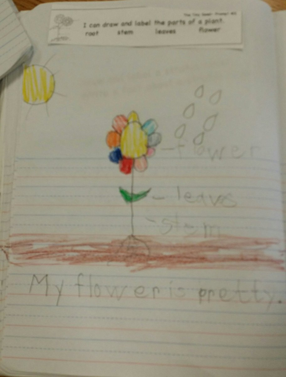BESMWade's tweet photo. My kindergartners were fascinated by our RTBR book "The Tiny Seed", by Eric Carle. I'm impressed with their amazing journal entries! #BEStlife https://t.co/0q0GkGeBkx