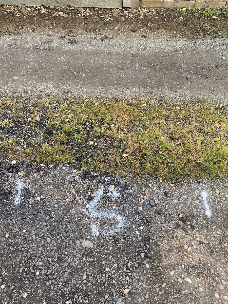 petercorbett7's tweet photo. Residual Herbicide trials comparing glyphosate and non glyphosate options. 5 reps of 6 treatments on typical permeable surface.  Applied 8 days ago difference already appearing https://t.co/OCFc3LC8hP
