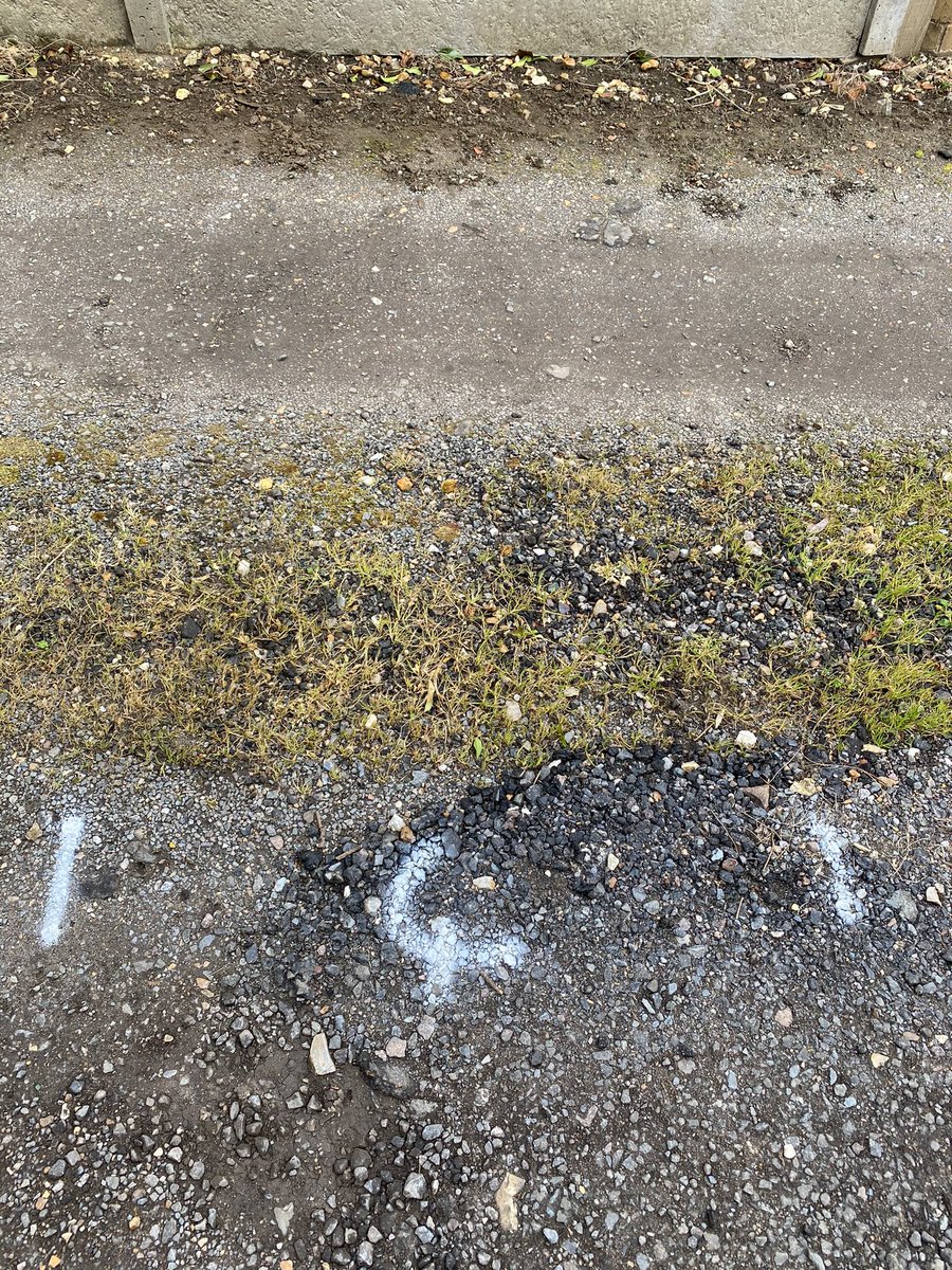 petercorbett7's tweet photo. Residual Herbicide trials comparing glyphosate and non glyphosate options. 5 reps of 6 treatments on typical permeable surface.  Applied 8 days ago difference already appearing https://t.co/OCFc3LC8hP