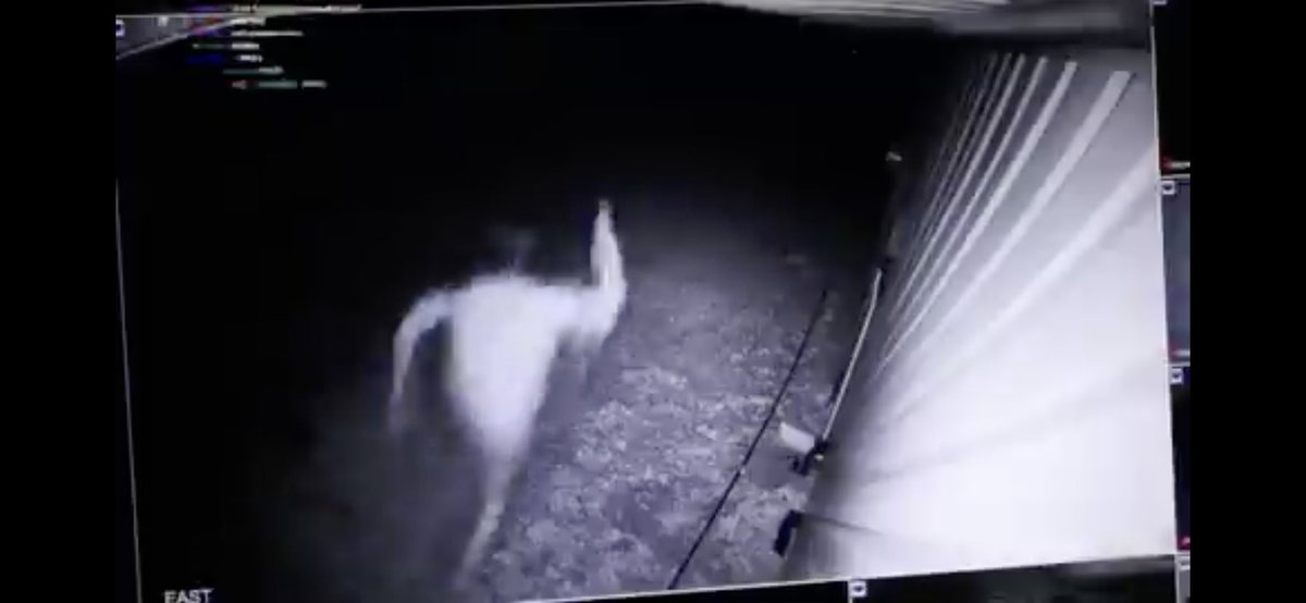 Images That Display Demonic Events tweet media