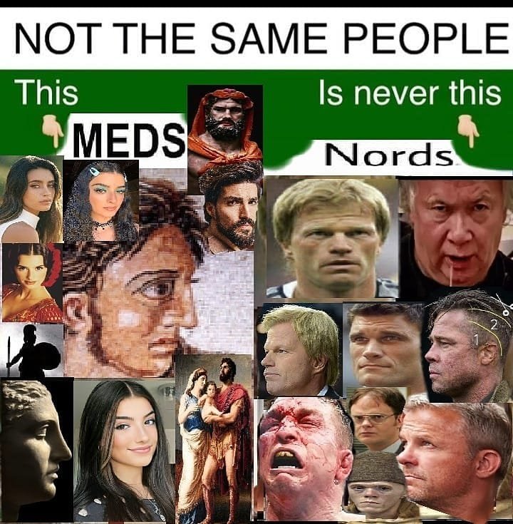 genetic_21's tweet photo. @Nord37837591 @ValenRenta @GandalftheWhi19 @SupernaturalQw @proudproudofme Cope... Blond hair and Germanic features are not European, only the Mediterranean Race is European, we created Europe and we are Europa... and Europe was named after the Phoenician Princess of Tyre from the Middle East. Germans, Celts and Scandinavians never had a Civilization. https://t.co/DQYIRO8sFU