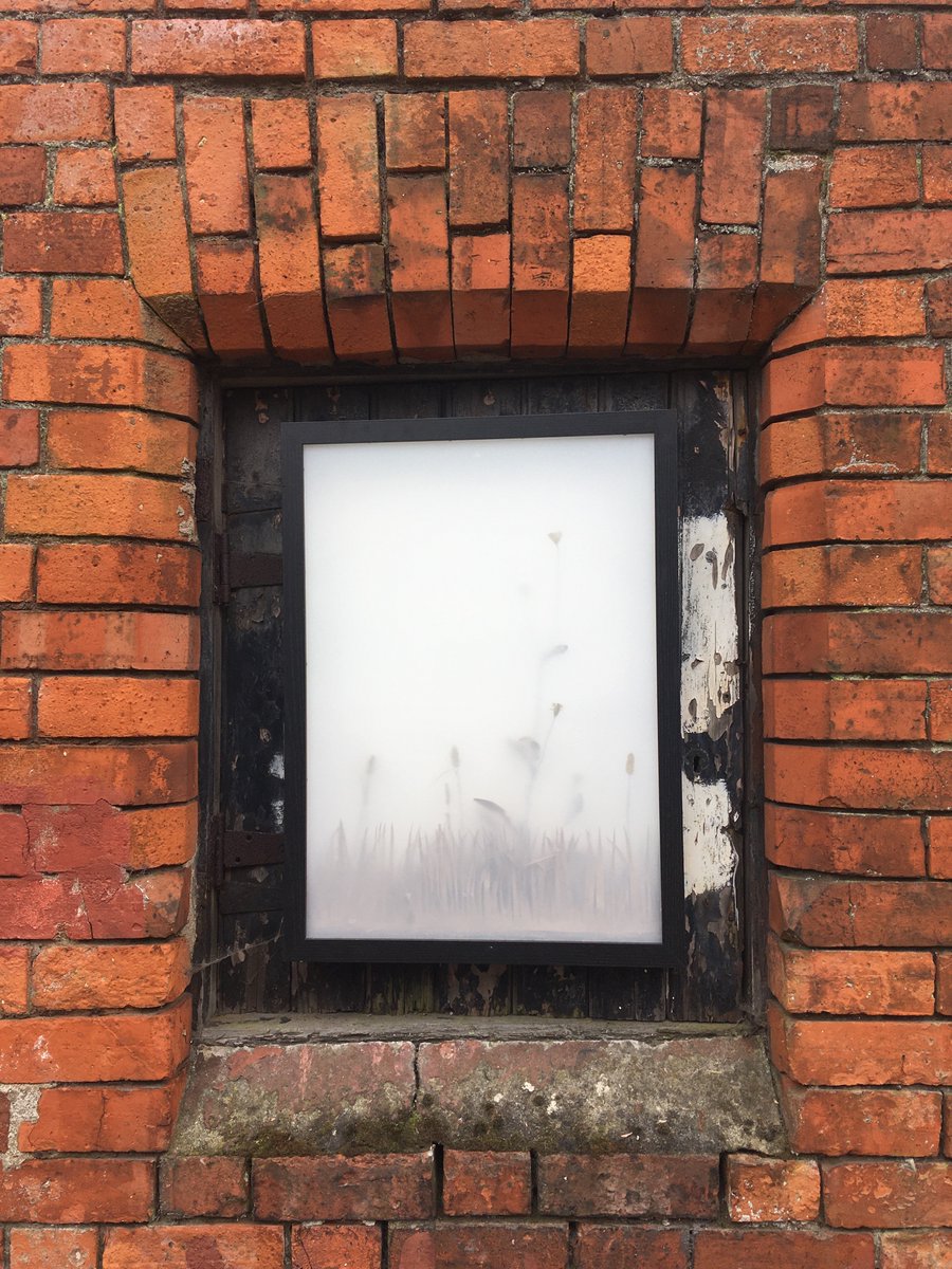 Bit of art action in the back entries of Ormeau this weekend.
#liminalley