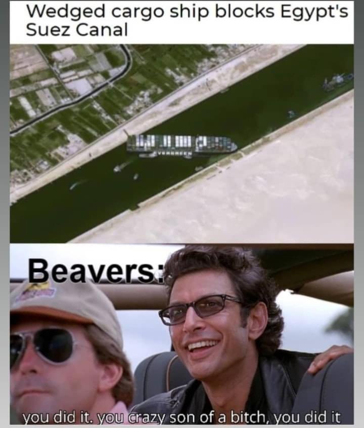 defconbeaver's tweet photo. You did it https://t.co/DPtJl1YDtj
