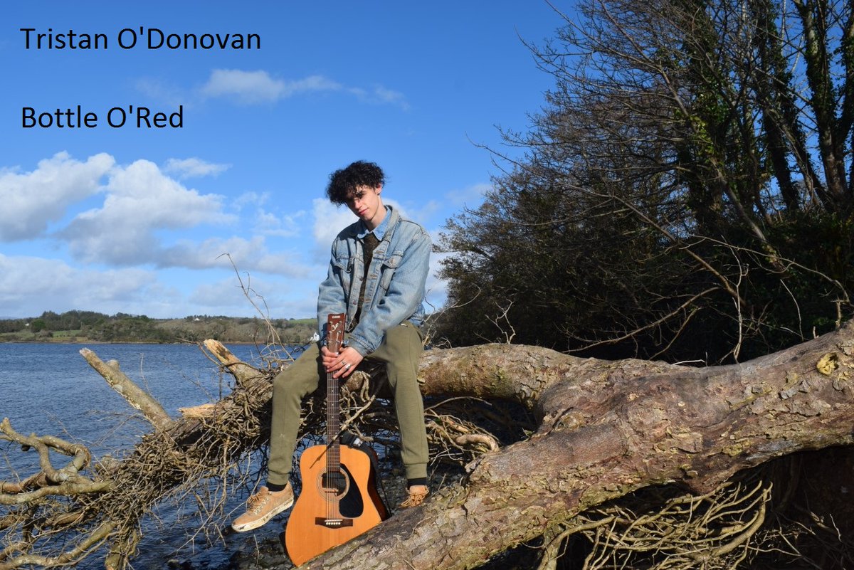 dublincityfm's tweet photo. On today's Positive Vibrations show at 10.00pm @dublincityfm  is music featuring #Dubdefenders, #TheBeat &amp; many more. Also new releases from #TristanODonovan, #TriXstar, #SheilaG-La &amp; Curtis Lugay &amp; many more. https://t.co/EGwoPqT1K2