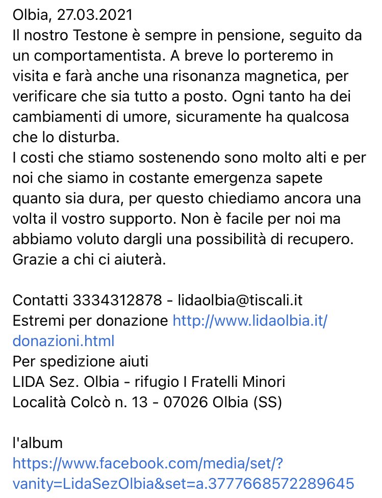 LidaSezOlbia's tweet photo. #Testone è sempre in #pensione, seguito da un comportamentista. A breve lo porteremo in visita e farà anche una #risonanzamagnetica...
I costi che stiamo sostenendo sono molto alti..Grazie a chi ci aiuterà.
https://t.co/kXQK7yPqTH
https://t.co/w2X54TBucz https://t.co/2otygBQdag