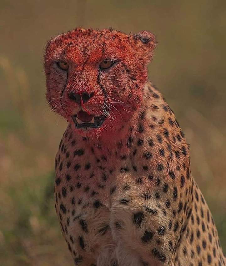 Sentís gusto a moneda y le pedís que prenda la luz