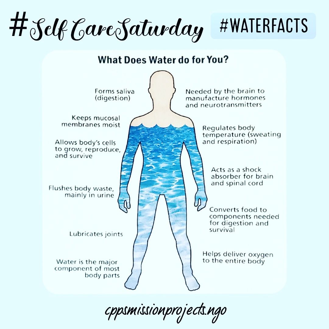 CPPSMission's tweet photo. How much water are you drinking daily?

#WaterIsLife  #CPPS #nonprofit  #Health #Facts  #SelfCareSaturday https://t.co/cbQvFH5K3c