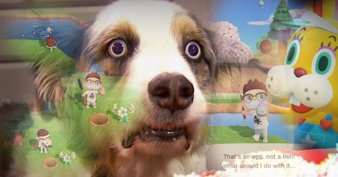elgato's tweet photo. Everyone: I can't wait for Spring to start!

Animal Crossing players: https://t.co/qaq9I0Vdku