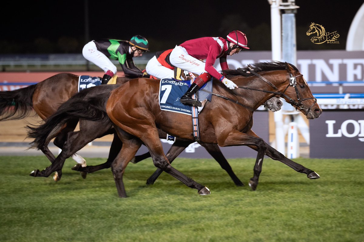 sahilhorse's tweet photo. #Mishriff 🇦🇪🏆🇸🇦
" مشرف " للأمير عبد الرحمن بن عبدالله الفيصل يواصل كتابة التاريخ ويحرز لقب دبي #شيما_كلاسيك عقب انقضاضه المثير على منافسيه وتحقيقه للمركز الأول خلال سباق G1 الذي امتد لمسافة 2410 متر في المضمار العشبي
مراسم التتويج بعد الشوط
#DubaiWorldCup 
#كاس_دبي_العالمي https://t.co/toyyUVbiRS