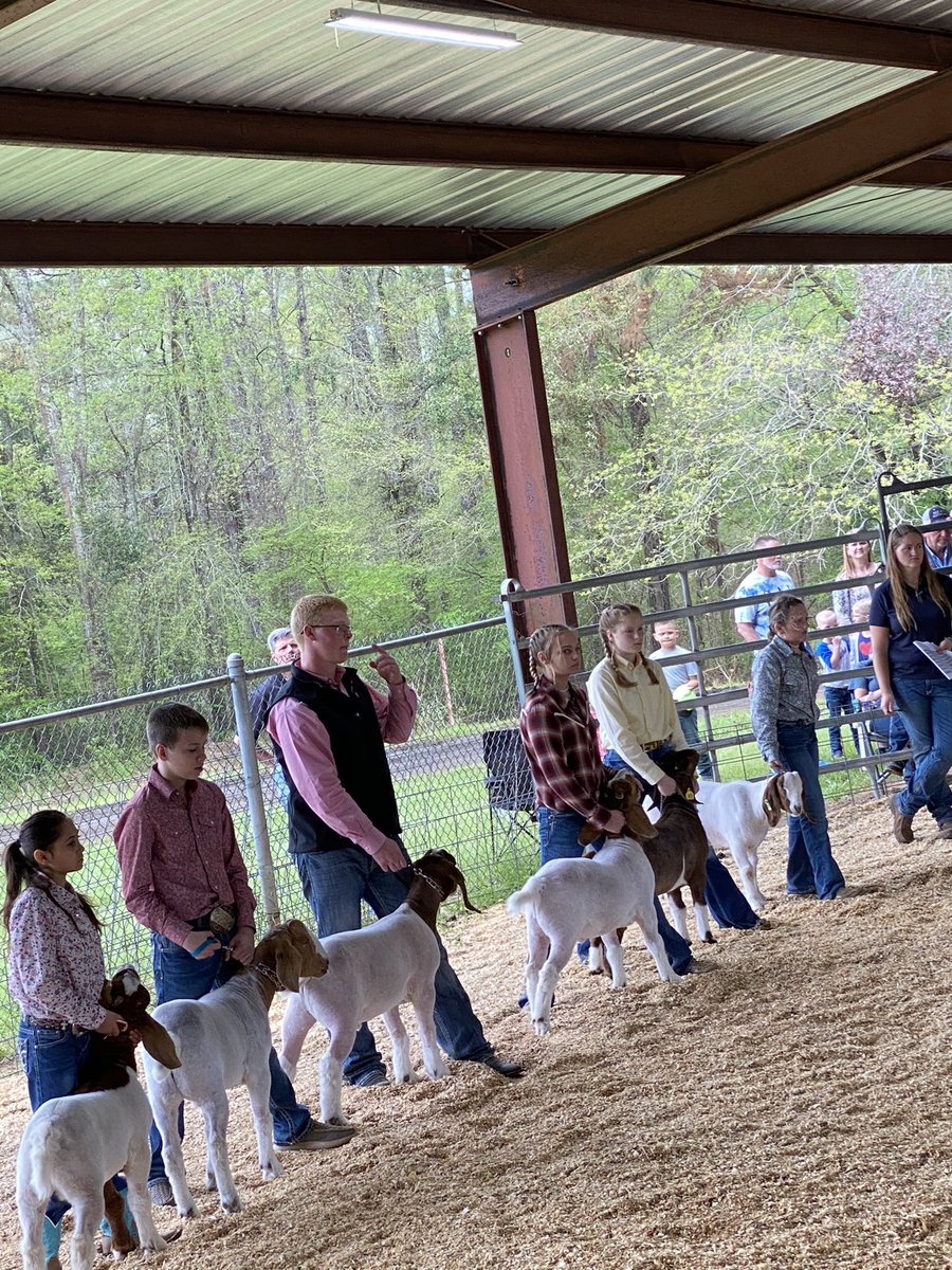 CarnellGilder's tweet photo. Gotta do it all! Congratulations to our kiddos for doing an excellent job showing.
#countyshow #Sabine #WSISD https://t.co/FQWaUbr8qX
