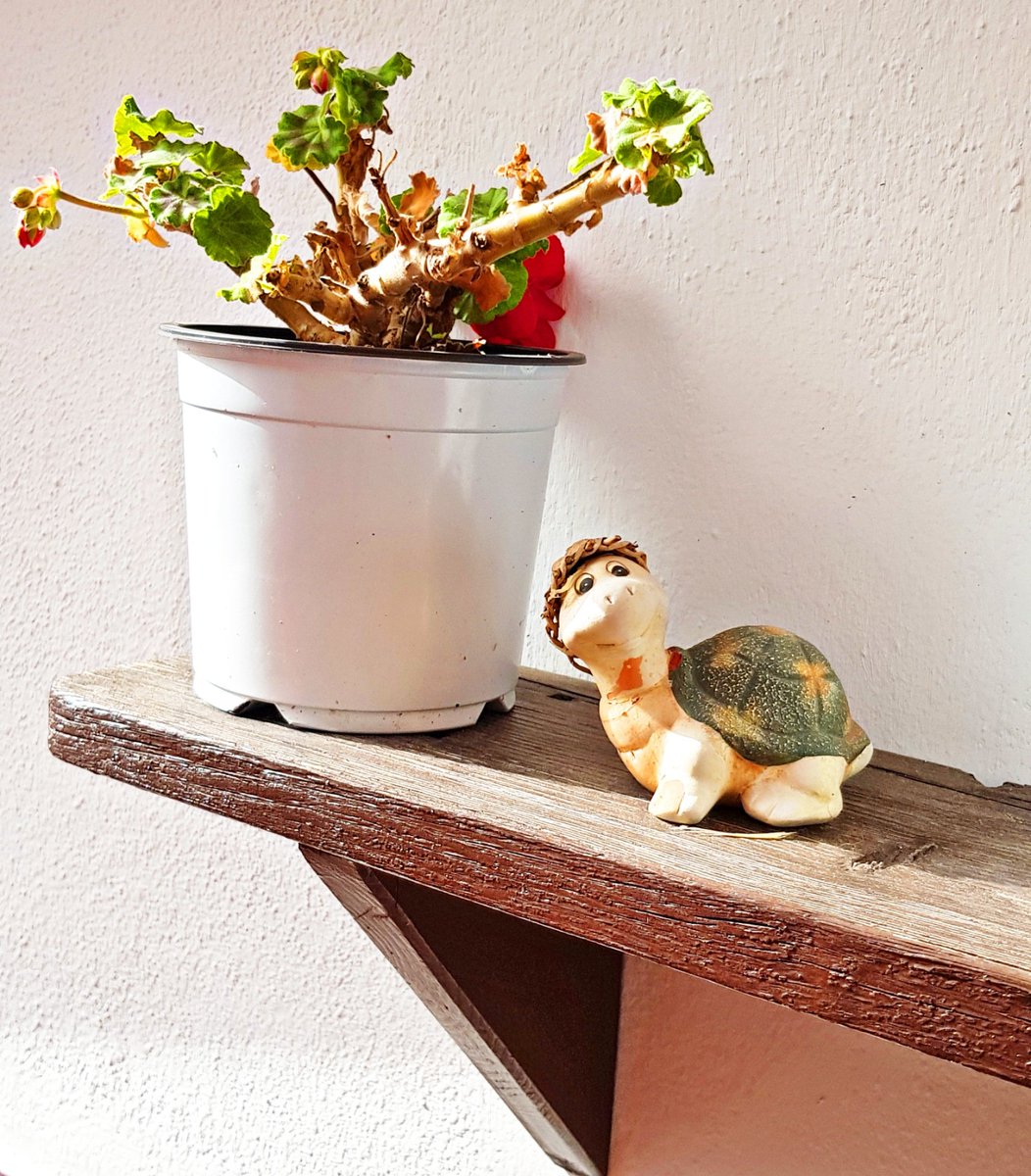 TOPIRRO1's tweet image. Una tarde con Manuelita...¡ Valiente tarde !