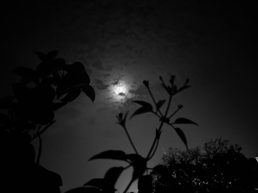 humhaisam's tweet photo. The love for moon 🌙 never ends #selenophile https://t.co/Jwk6Xz91Tx