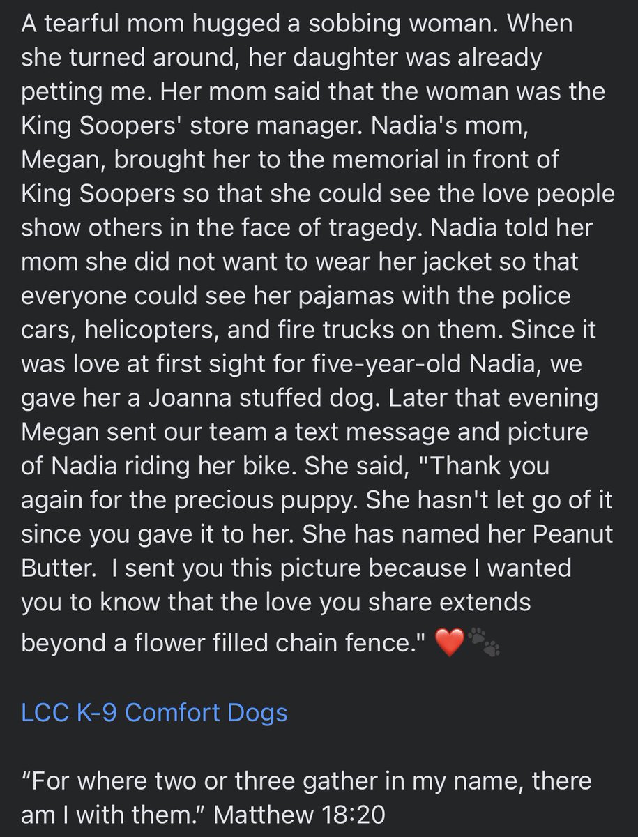 K9ComfortDogs's tweet image. #BoulderStrong #BoulderStrong #comfortdogs #dogsoftwitter #GoldenRetrievers #Saturday #dogs