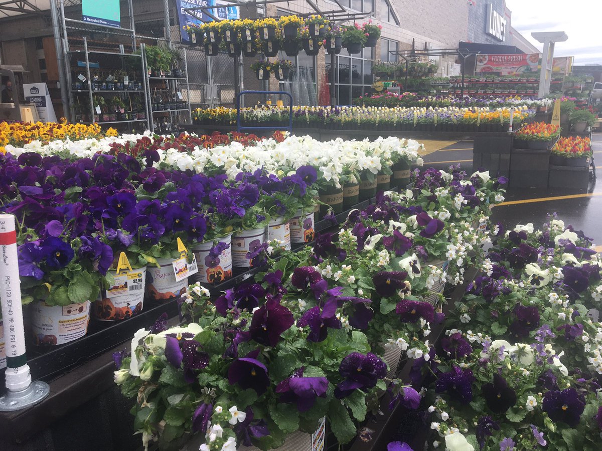 J99538648's tweet photo. It’s a ‘coat of many colors’ at Lowe’s 693 in Sevierville, TN! https://t.co/3CiauR4Qfc