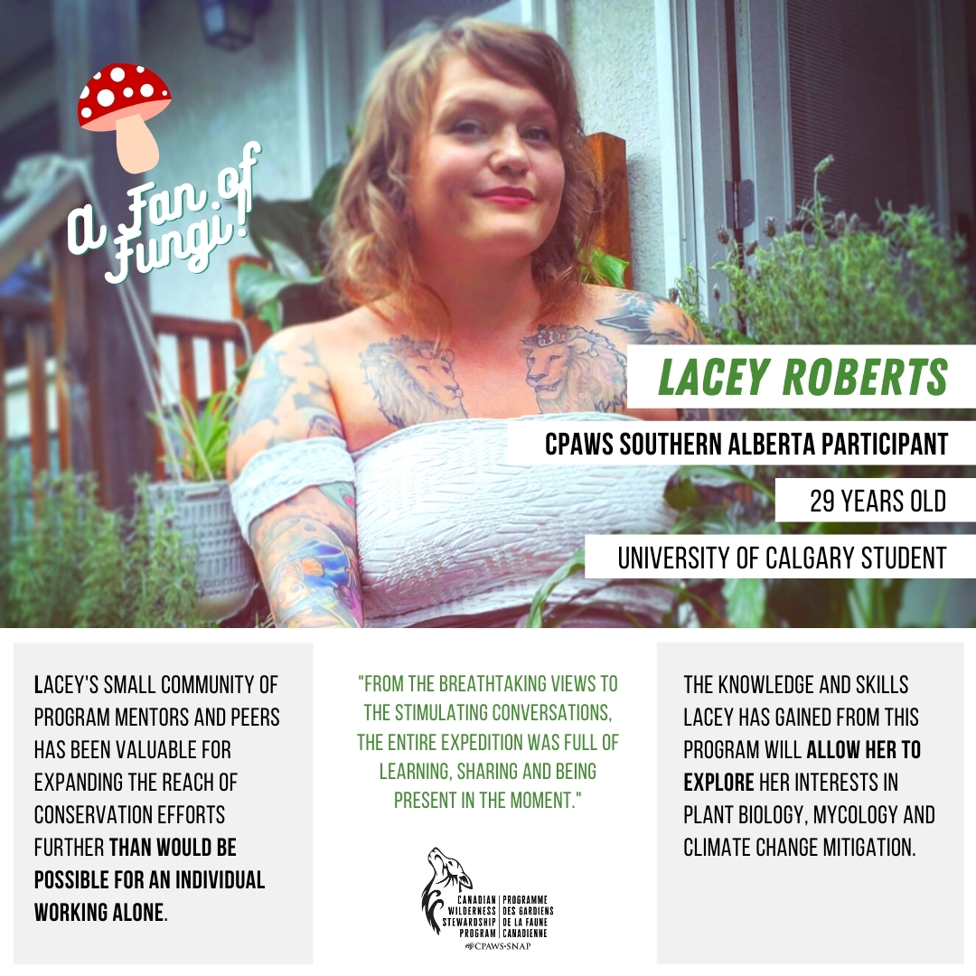 cpaws's tweet photo. Our 2020-2021 summit weekend for the Canadian Wilderness Stewardship Program is now in full swing! π€©π€©π€©
Throughout the weekend, we'll be spotlighting a few of our participants from across the country. First up is one of our @cpawssab participants, Lacey Roberts! #CPAWSinAction https://t.co/XUqUPO8T0V