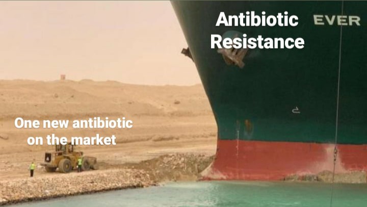 Charlotte Schwenner tweet media