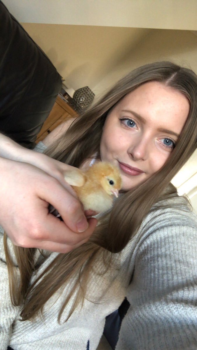 TimbertreeEYFS tweet media