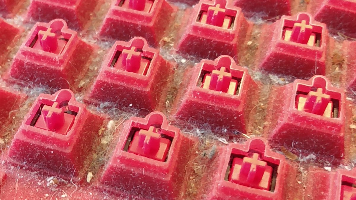 Martin O'Hanlon tweet media