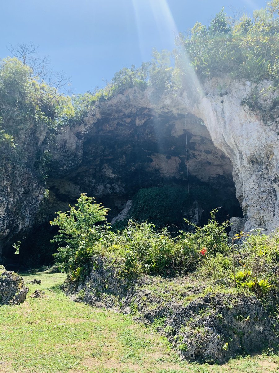 Awilda E Andino tweet media