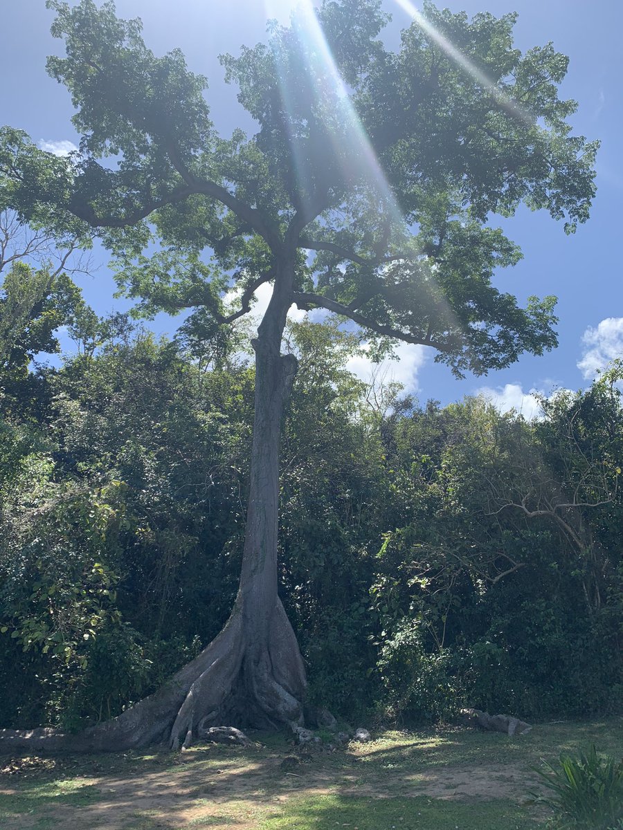 Awilda E Andino tweet media