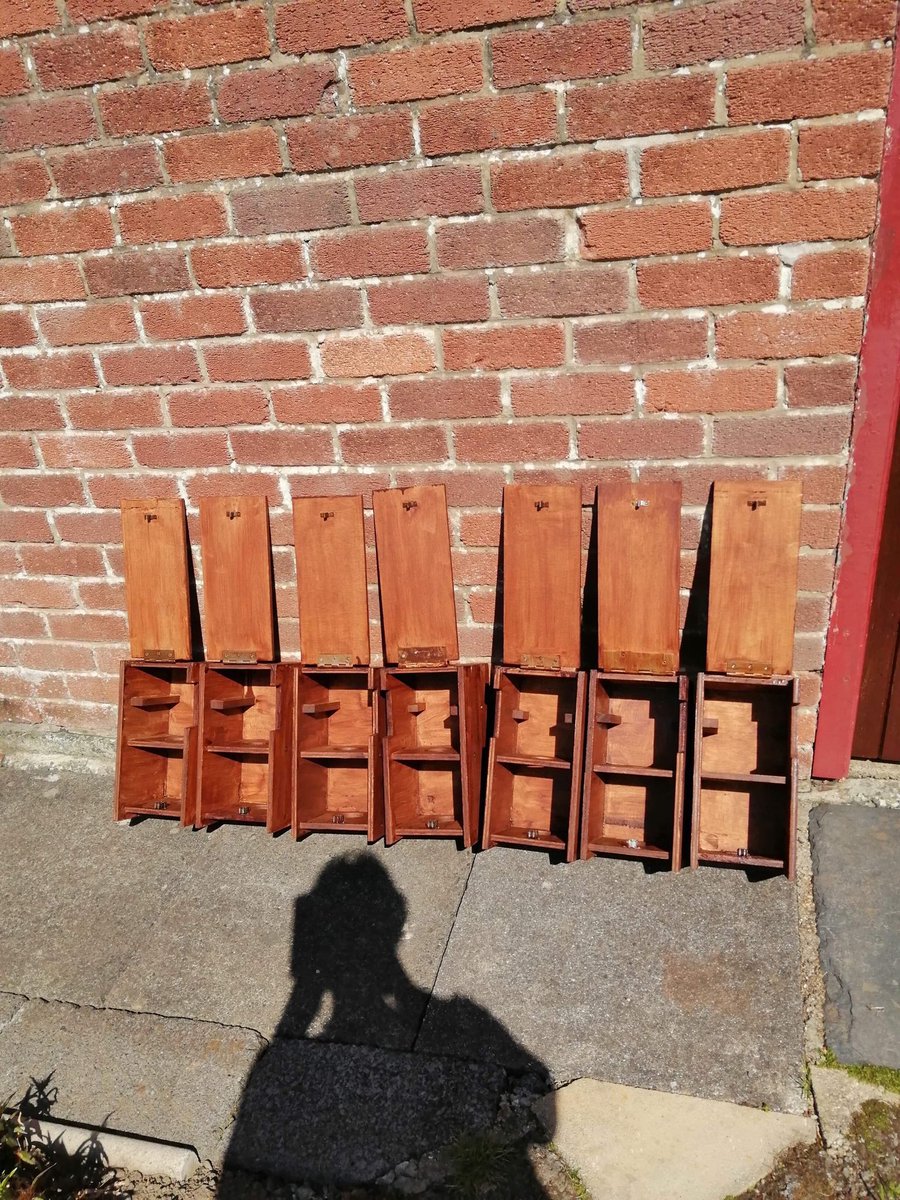 grj243's tweet image. How it started……How it’s going! #vermincontrol #lockdownproject #bestdadever #battleofthegreys #NorthWales 🏴󠁧󠁢󠁷󠁬󠁳󠁿