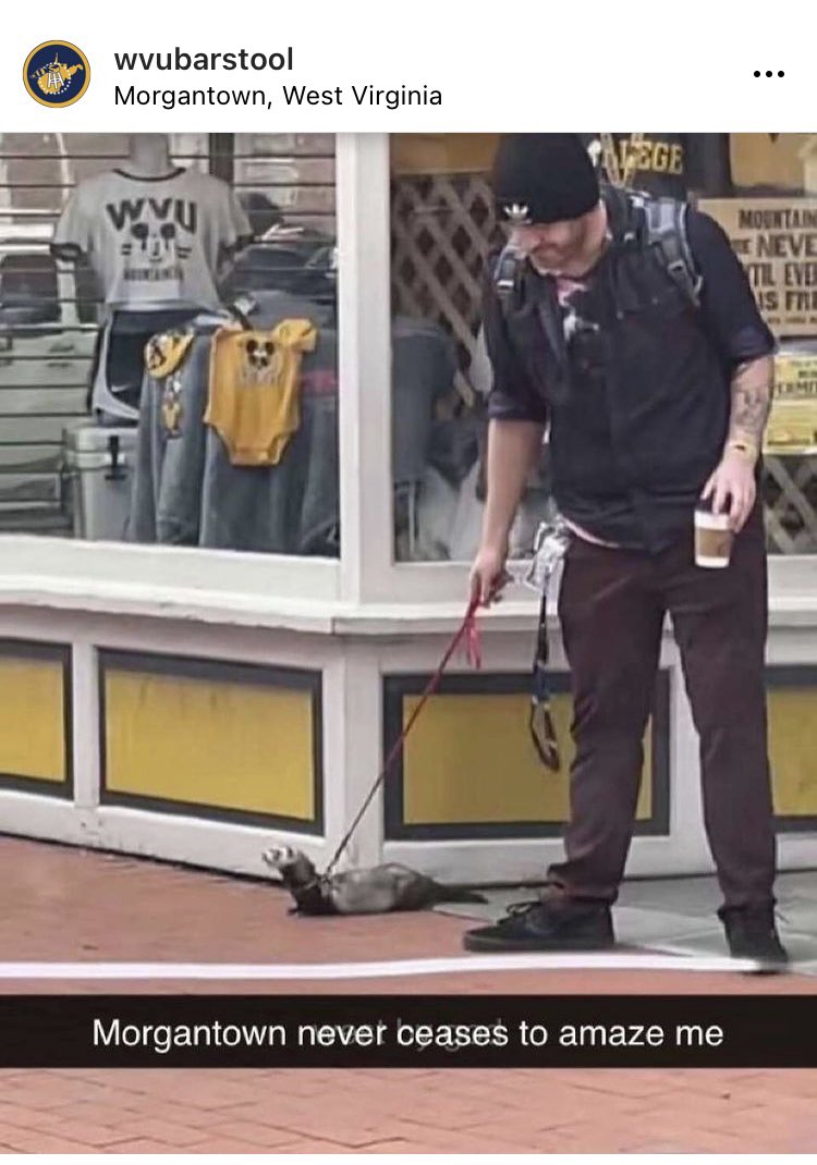 WVU Barstool WVUBarstool Twitter Analytics Trendsmap