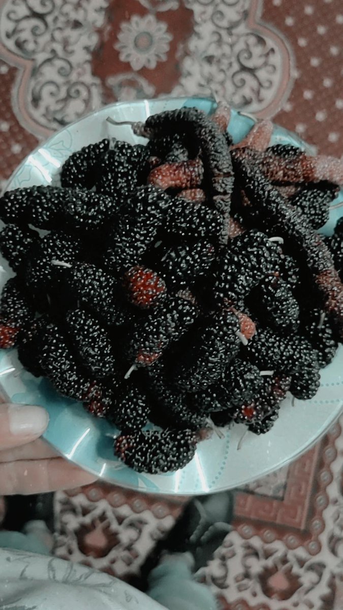 AbdalrahmanHal7's tweet photo. تويته كل سنه 😌😋🤎🤎🤎🤎🤎🤎🤎🤎🤎🤎🤎🤎🤎🤎🤎🤎🤎🤎🤎🤎🤎🤎🤎🤎🤎🤎🤎🤎🤎🤎🤎🤎🤎🤎🤎 https://t.co/vt9tDBxBV7
