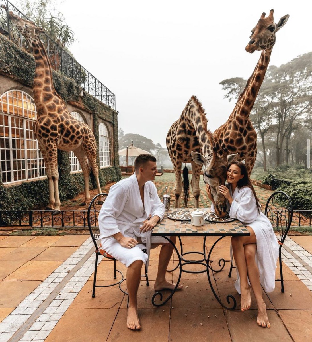 LTVOfficial_'s tweet photo. Giraffe Manor is an exclusive boutique hotel, owned by The Safari Collection. Often referred to as one of the most instagrammed properties in the world.

📸 @ler_chek https://t.co/stVHCItV4b