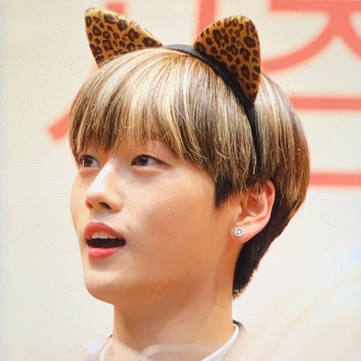 HIS KITTY EARS 💔💔💔💔💔
