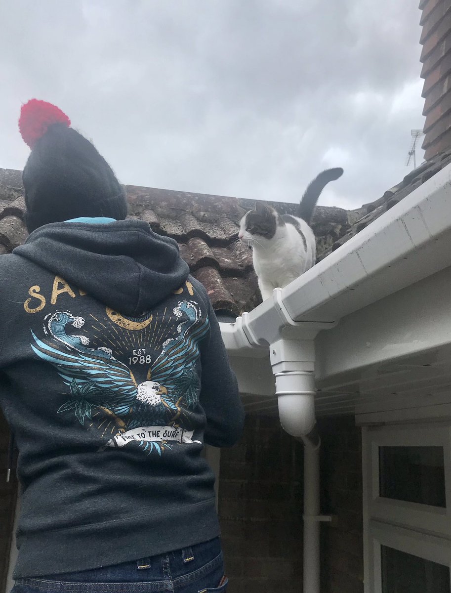 northie100's tweet image. Gutter cleaning #noseycat #needsomehelp?